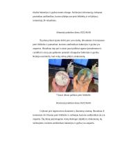 Medžiagos iš ausies mikrobiologinis tyrimas  16 puslapis