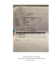 Medžiagos iš ausies mikrobiologinis tyrimas  8 puslapis