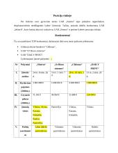 Socialinių tinklų komunikacijos kampanijos „Sinerta“ planas 2 puslapis