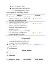Socialinių tinklų komunikacijos kampanijos „Sinerta“ planas 4 puslapis