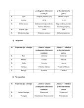 Socialinių tinklų komunikacijos kampanijos „Sinerta“ planas 5 puslapis