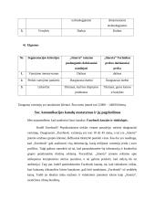 Socialinių tinklų komunikacijos kampanijos „Sinerta“ planas 6 puslapis