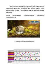 Socialinių tinklų komunikacijos kampanijos „Sinerta“ planas 8 puslapis