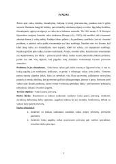 Socialinio darbo ypatumai su vaikais patyrusiais prievartą 2 puslapis