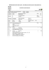 Integruota technologinio gamybos rengimo sistema "SAT" 11 puslapis