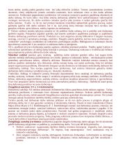 Intelekto išteklių vadyba 2 puslapis