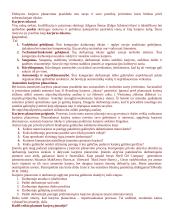 Intelekto išteklių vadyba 19 puslapis