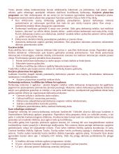 Intelekto išteklių vadyba 20 puslapis