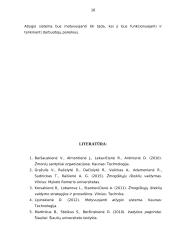 Darbuotojų motyvavimas organizacijoje 16 puslapis