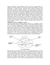 Intelektualios sistemos 5 puslapis