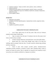 Evakuacinis planas Trakuose  2 puslapis