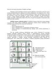 Intelektualusis namas 16 puslapis