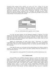 Intelektualusis namas 10 puslapis