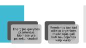 Kas yra biomasė? 6 puslapis