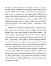 Intuityvizmo estetika 3 puslapis