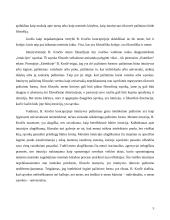 Intuityvizmo estetika 6 puslapis