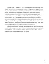 Intuityvizmo estetika 7 puslapis