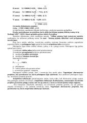 Investicijų valdymas 12 puslapis