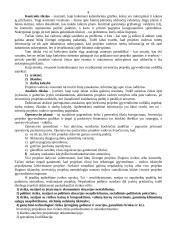 Investicijų valdymas 8 puslapis