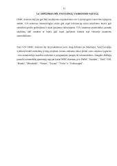 DSRC (Dedicated Short Range Communication) Sistema 10 puslapis