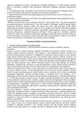 Istorijos didaktika 11 puslapis