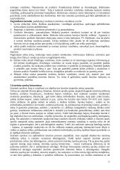 Istorijos didaktika 12 puslapis