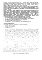 Istorijos didaktika 13 puslapis