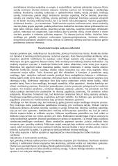 Istorijos didaktika 16 puslapis