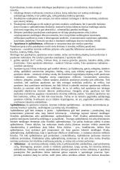 Istorijos didaktika 5 puslapis