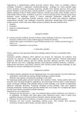 Istorijos didaktika 8 puslapis