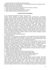 Istorijos didaktika 10 puslapis