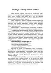 Judrieji žaidimai 2 puslapis