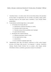 Herojaus vaizdavimas literatūroje (kalbėjimas ir planas)