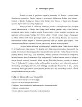 Inovatyvios verslo idėjos gyvybingumo pagrindimas bei jos įgyvendinimo tarptautinėse rinkose planavimas 11 puslapis