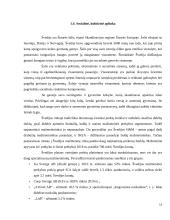 Inovatyvios verslo idėjos gyvybingumo pagrindimas bei jos įgyvendinimo tarptautinėse rinkose planavimas 12 puslapis