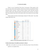Inovatyvios verslo idėjos gyvybingumo pagrindimas bei jos įgyvendinimo tarptautinėse rinkose planavimas 13 puslapis