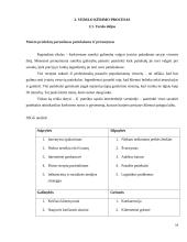 Inovatyvios verslo idėjos gyvybingumo pagrindimas bei jos įgyvendinimo tarptautinėse rinkose planavimas 15 puslapis