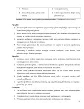 Inovatyvios verslo idėjos gyvybingumo pagrindimas bei jos įgyvendinimo tarptautinėse rinkose planavimas 16 puslapis