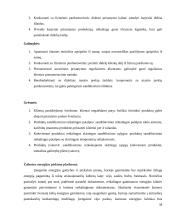 Inovatyvios verslo idėjos gyvybingumo pagrindimas bei jos įgyvendinimo tarptautinėse rinkose planavimas 19 puslapis