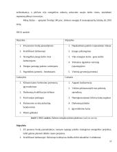 Inovatyvios verslo idėjos gyvybingumo pagrindimas bei jos įgyvendinimo tarptautinėse rinkose planavimas 20 puslapis