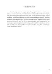 Kaip socialinė aplinka skatina agresiją? 12 puslapis