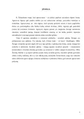 Kaip socialinė aplinka skatina agresiją? 2 puslapis