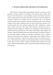 Kaip socialinė aplinka skatina agresiją? 5 puslapis