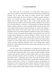 Kaip socialinė aplinka skatina agresiją? 7 puslapis