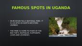 Uganda presentation 8 puslapis