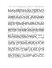 Kanonų teisė 3 puslapis