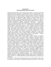 Kanonų teisė 4 puslapis