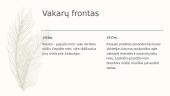Pirmasis pasaulinis karas (priežastys, eiga, padariniai) 13 puslapis