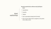 Pirmasis pasaulinis karas (priežastys, eiga, padariniai) 20 puslapis