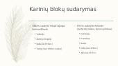 Pirmasis pasaulinis karas (priežastys, eiga, padariniai) 3 puslapis
